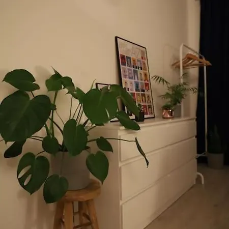 Sunny Cozy Apartamento
